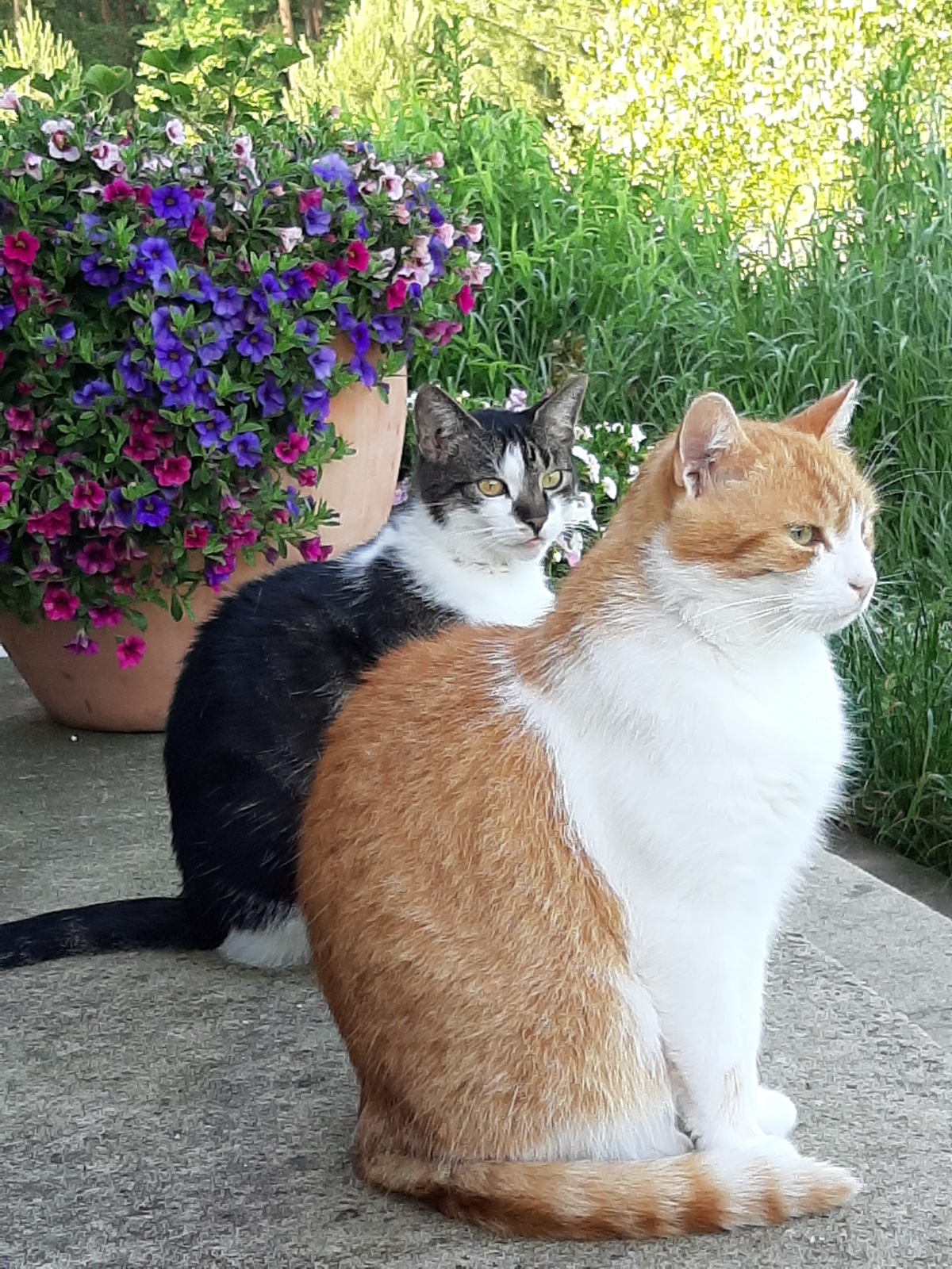 20200619 073339   Kopie